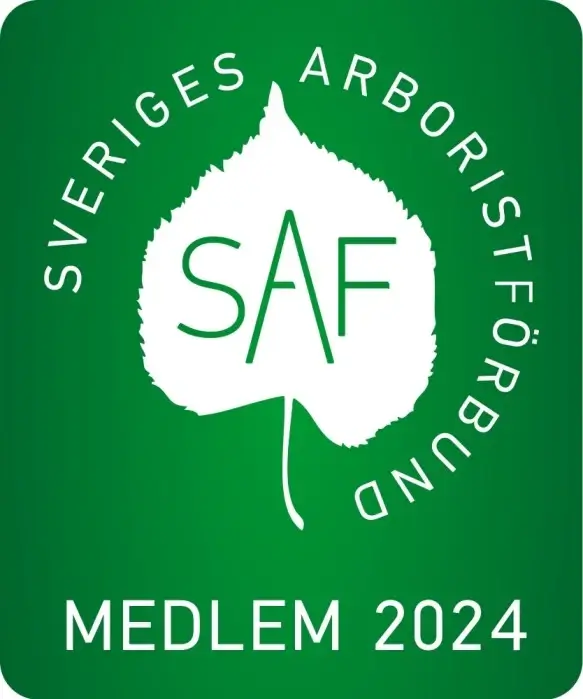 Sveriges Arboristförbund Medlem 2024 Ranglo Axe